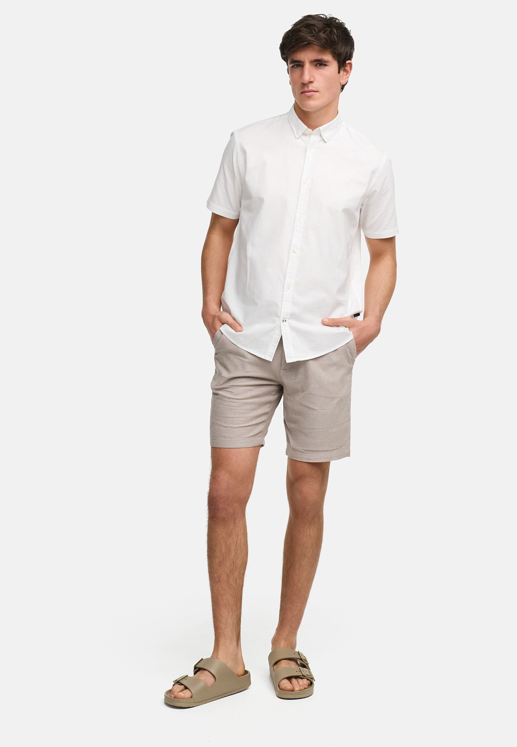 Shorts Chino KSAlbert Fungi